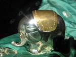 my beutiful elephant
